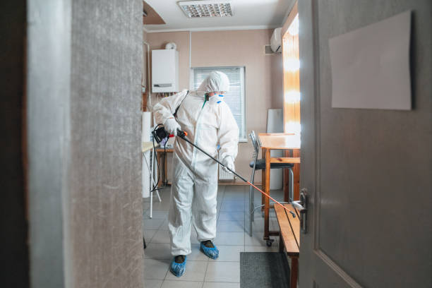 Best Water Damage & Mold Remediation  in Tuntutuli, AK