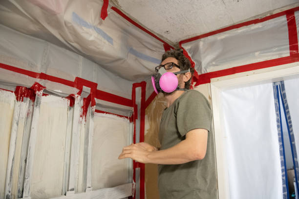 Best Asbestos and Lead Testing During Mold Inspection  in Tuntutuli, AK