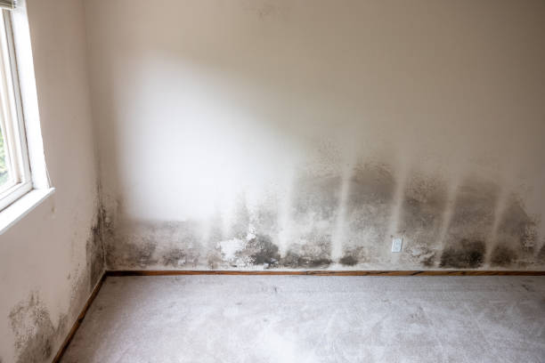 Best Air Quality Testing for Mold Spores  in Tuntutuli, AK