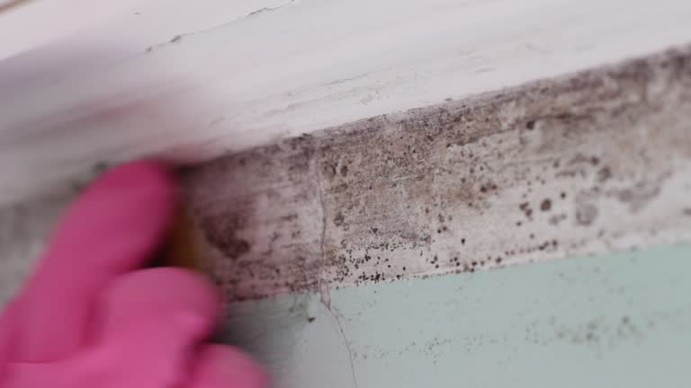 Forensic Mold Investigation in Tuntutuliak, AK